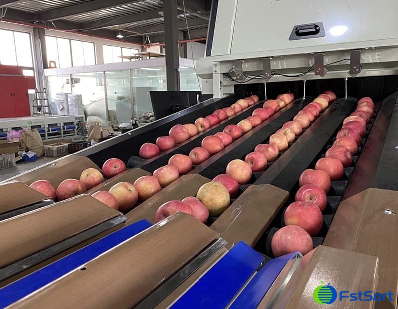 images/1679557628532clasificadora de manzanas.jpg